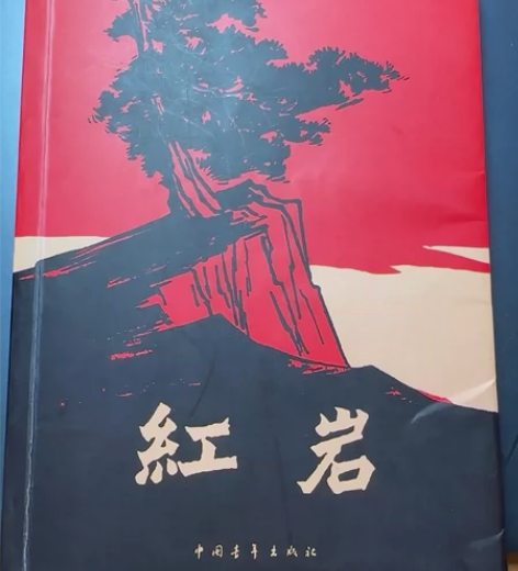 《红岩》八五成新 感兴趣的话点“我想要”和...