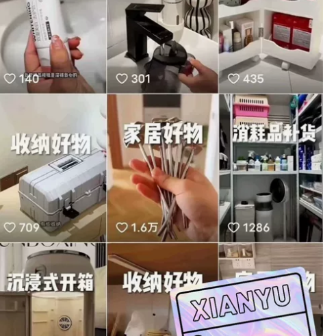 蓝海项目 ，最 新 快手好物连怼搬运技术 ...