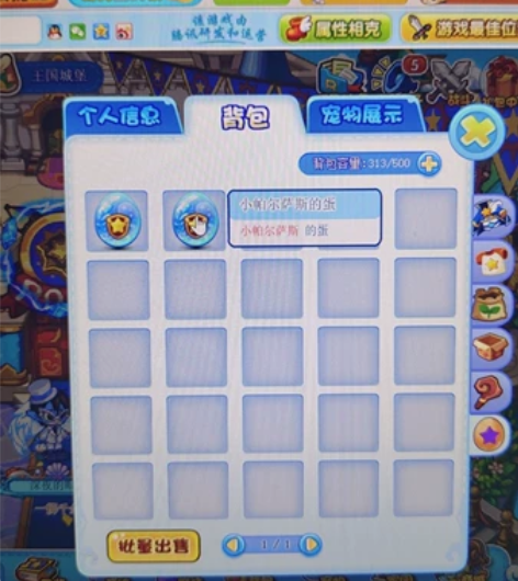 洛克王国绝版宠物小帕尔萨斯蛋，孵化之后可进...