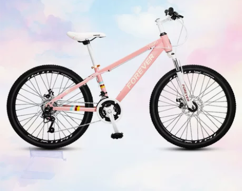 永久牌儿童自行车男女孩小学生脚踏单车20/...