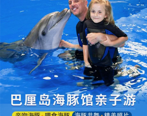巴厘岛海豚馆亲密接触海豚共舞游泳亲子游 B...