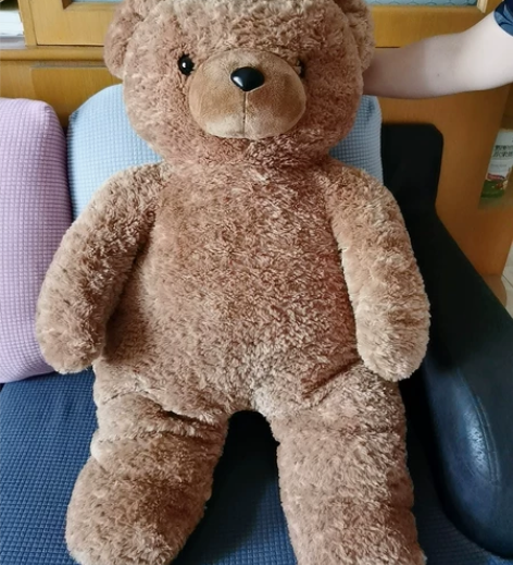 毛绒玩具玩偶熊 大概一米高，商场200左右...