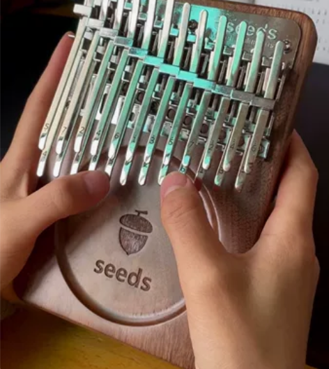 果实拇指琴，24键，几乎全新 seeds卡...