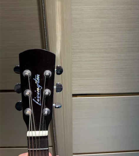 出一把利维斯顿GA-10S BK 琴颈：桃...