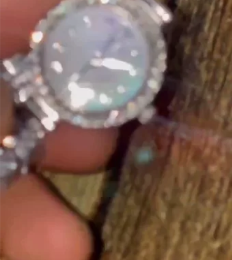 Davena蒂玮娜美人鱼石英手表，产品图片...