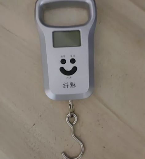 手提秤，充电式，50公斤的  买回来就用过...
