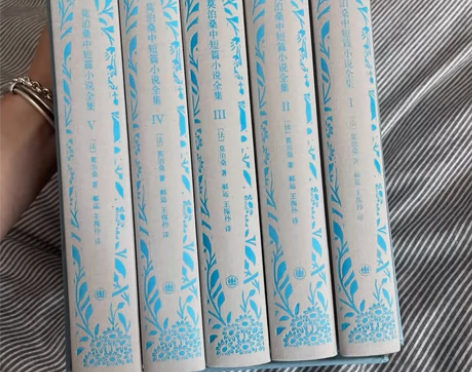 莫泊桑中短篇小说全集（全五卷）套装 仅拆封...