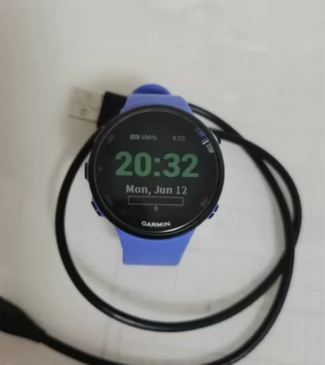 Garmin（佳明） Forerunner...