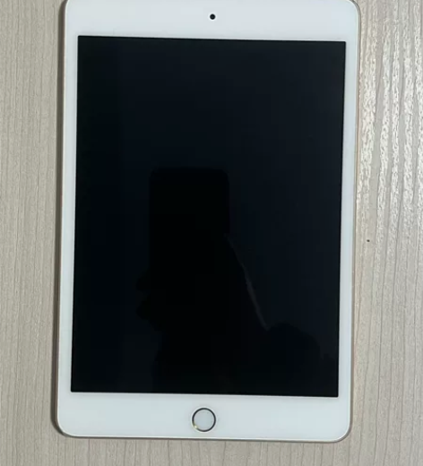 Apple/苹果 iPad mini4，金...