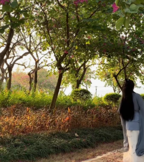 【汉服出租】  自搭程少商嫋嫋同款 汉服：...