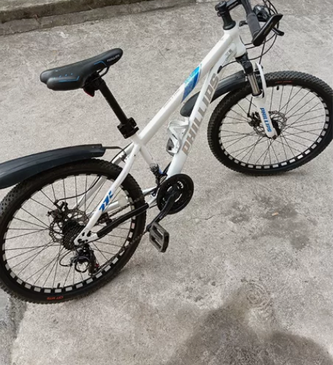 菲利普自行车 很好骑，内走线，轻巧，胎毛都...