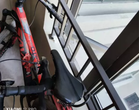 SAVA萨瓦碳纤维山地车自行车2018新款...