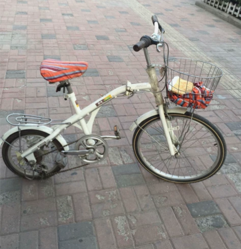 大轱辘小轱辘自行车5速变速可折叠  ,9成...