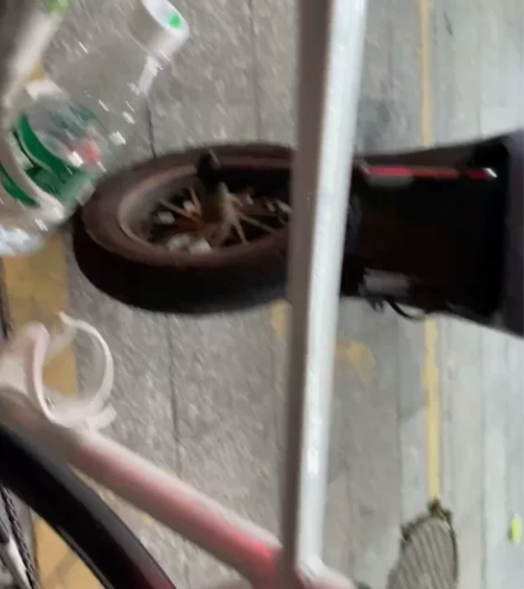 喜德盛rt280 入门公路车 2*7速  ...