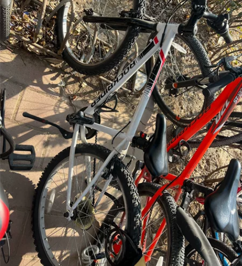 迪卡侬16寸儿童自行车。车筐和铃铛是自己配...