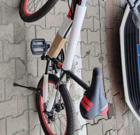 全新凤凰山地自行车，小孩子骑的，买回来才发...