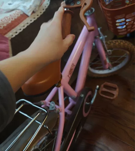 永久童车 买之前对比过，永久用料最扎实，是...