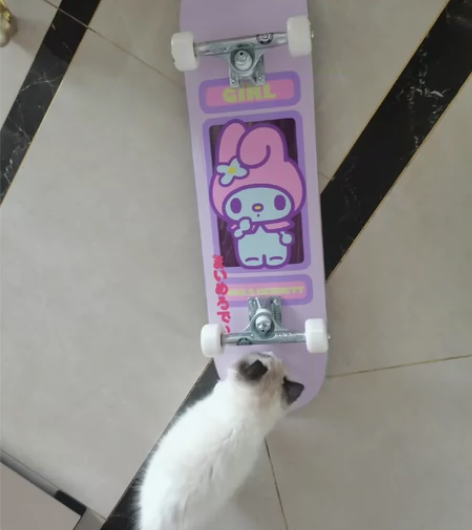 BD| hellokitty联名girl专...