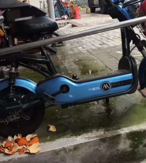 出二手电动车，小哥长期在国外，买了之后就闲...