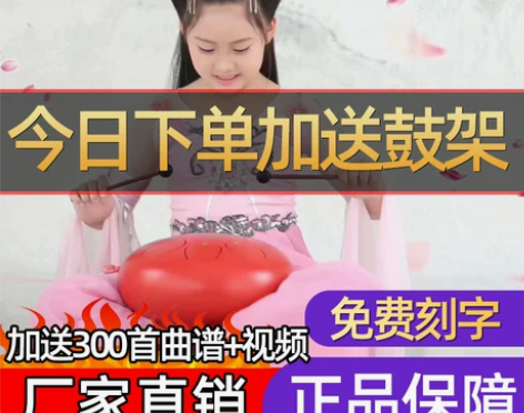 空灵鼓琴初学者成人色空鼓忘梵音无忧鼓13音...
