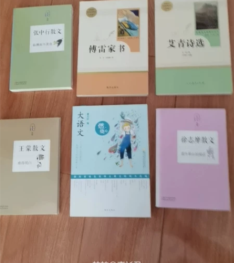 张中行散文、傅雷家书、艾青诗选、王蒙散文、...