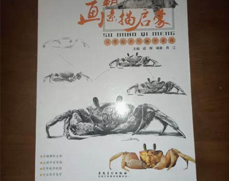 画霸素描启蒙 素描画册动物剪影明暗训练昆虫...