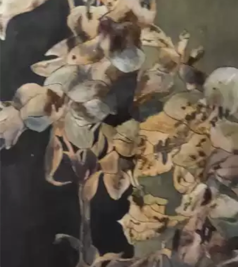 传统壁画的制作工艺 麻麻的画 画的花卉 没...