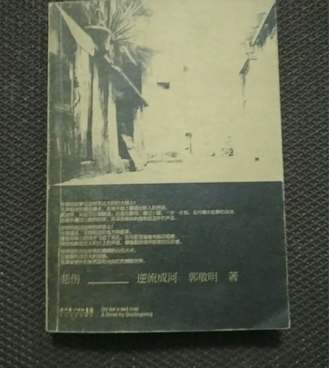 郭敬明小说《悲伤逆流成河》多买给邮。 感兴...