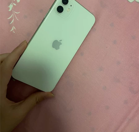 iPhone11 电池73 可自己更换电池...