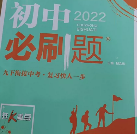文学/小说初中必刷题九年级化学下册人教版 ...