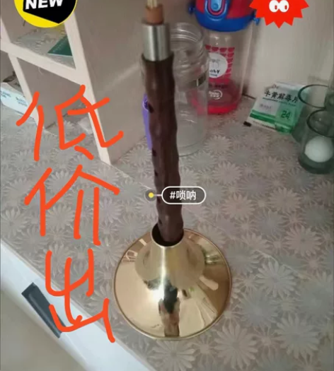 琴行倒闭【全新】原价220的唢呐低价出售唢...