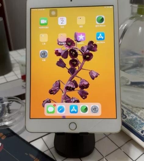 ipad mini3 金色，16G，7成新...
