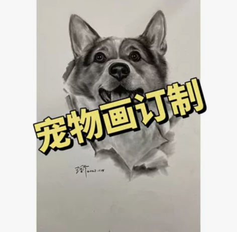 素描宠物画像订制 感兴趣的话点“我想要”和...