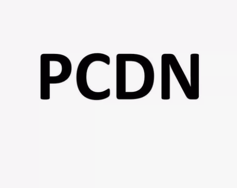 副业创业，pcdn项目，可咨询 感兴趣的话...