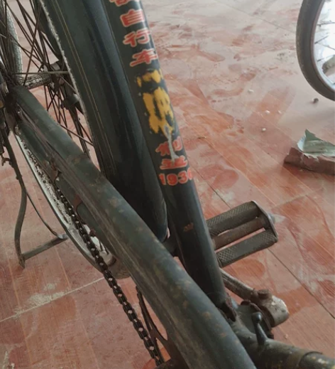 20寸飞鸽牌折叠自行车，全新安装好的，密封...