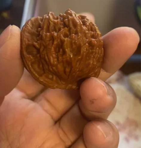 46?磨盘还是白狮子文玩回血置换 感兴趣的...