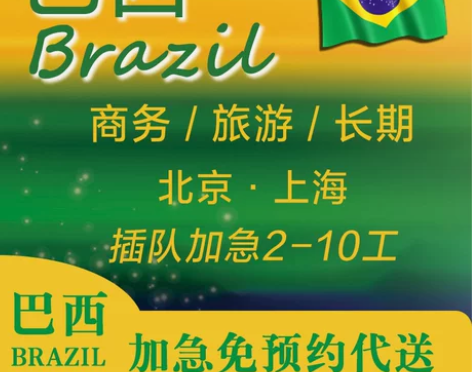 巴西-签·证(北京/上海/广州)加急代送资...