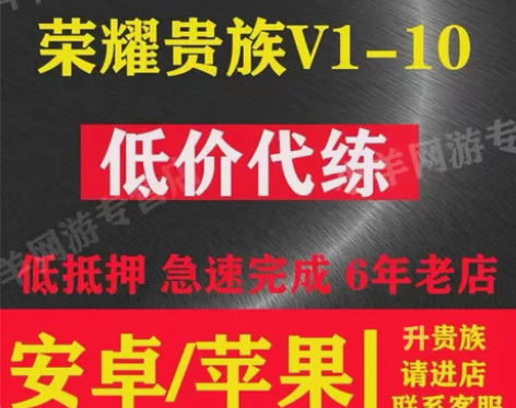 王者荣耀升贵族积分代升贵族10升贵族等级贵...
