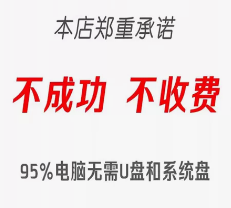 在线重装纯净系统 远程维修电脑重装做系统家...