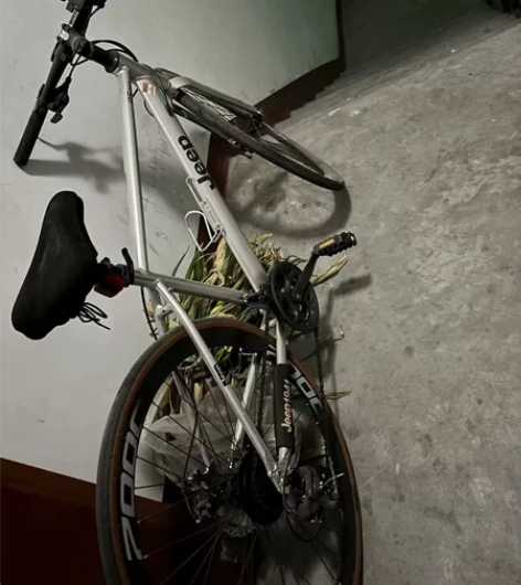 买来没有怎么骑。看上私聊 感兴趣的话点“我...