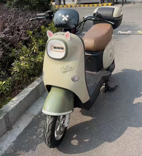 个人一手,新国标黄牌。特价处理了,电池没有...