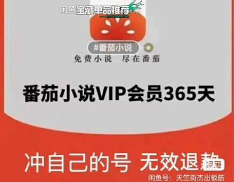 番茄小说vip会员365天番茄VIP番茄畅...