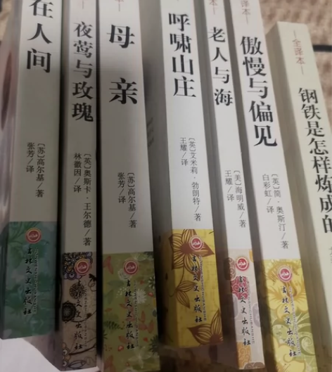 大大的名著,应该好吧,反正我没看过在人间(...