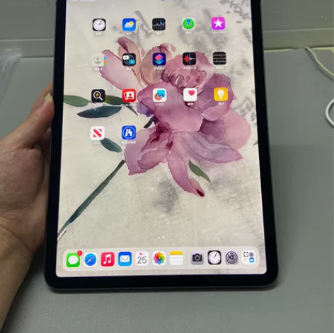 电池100 98新iPadpro2021款...