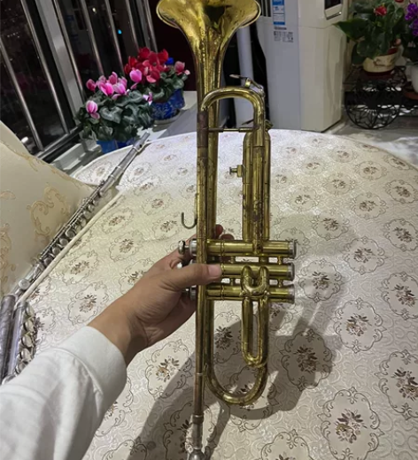 星海小号 成色如图 不知还能不能用 品相...