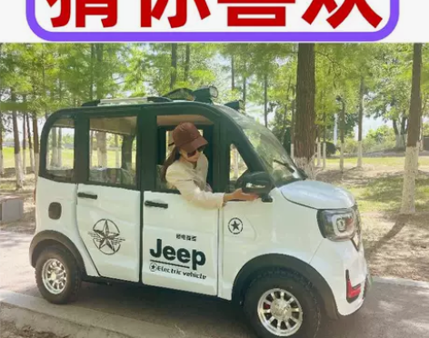 四轮电动车新款女电瓶车家用小型汽车代步车全...