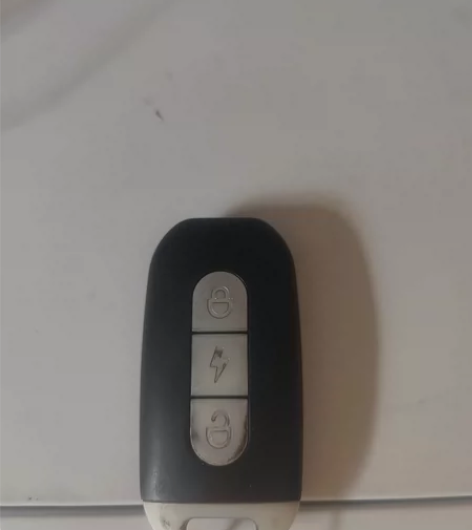 电瓶车防盗器，一个遥控器，寻车防盗远程启动...