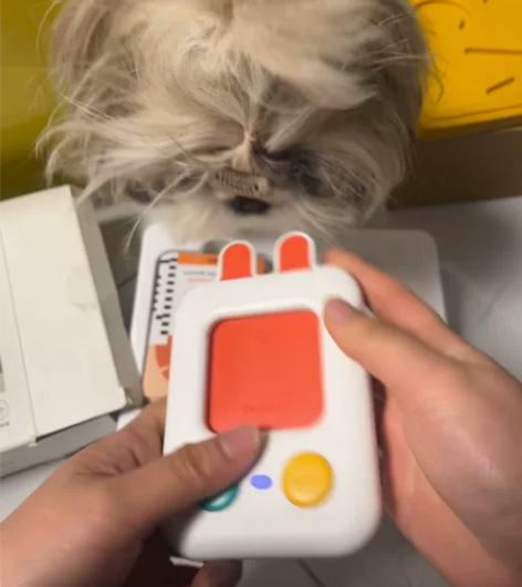 贝恩施幼儿童插卡片早教机中英语双语识字学习...