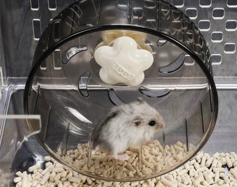 仓鼠静音跑轮金丝熊转轮运动跑步机滚轮球小宠...