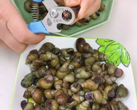 5.9包邮田螺剪刀螺蛳剪锻打螺丝钳去尾钳子...